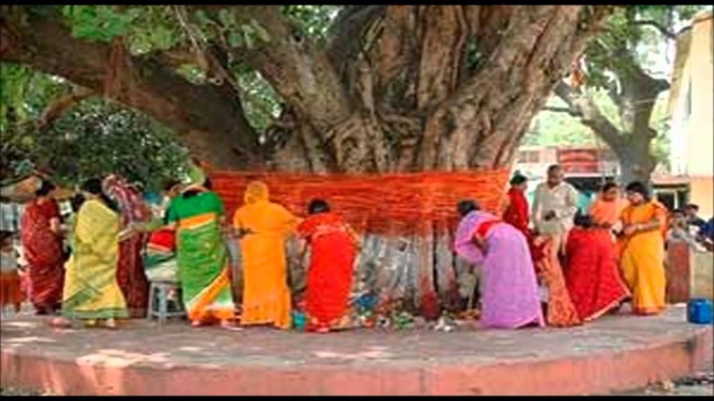 आंवला नवमी व्रत कथा , आंवला नवमी की कहानी , पूजनविधि व महत्त्व2022    | Aamvala Navmi Vrat Katha , Vrat Ki Vidhi , Vrat Ka mahattv 2022