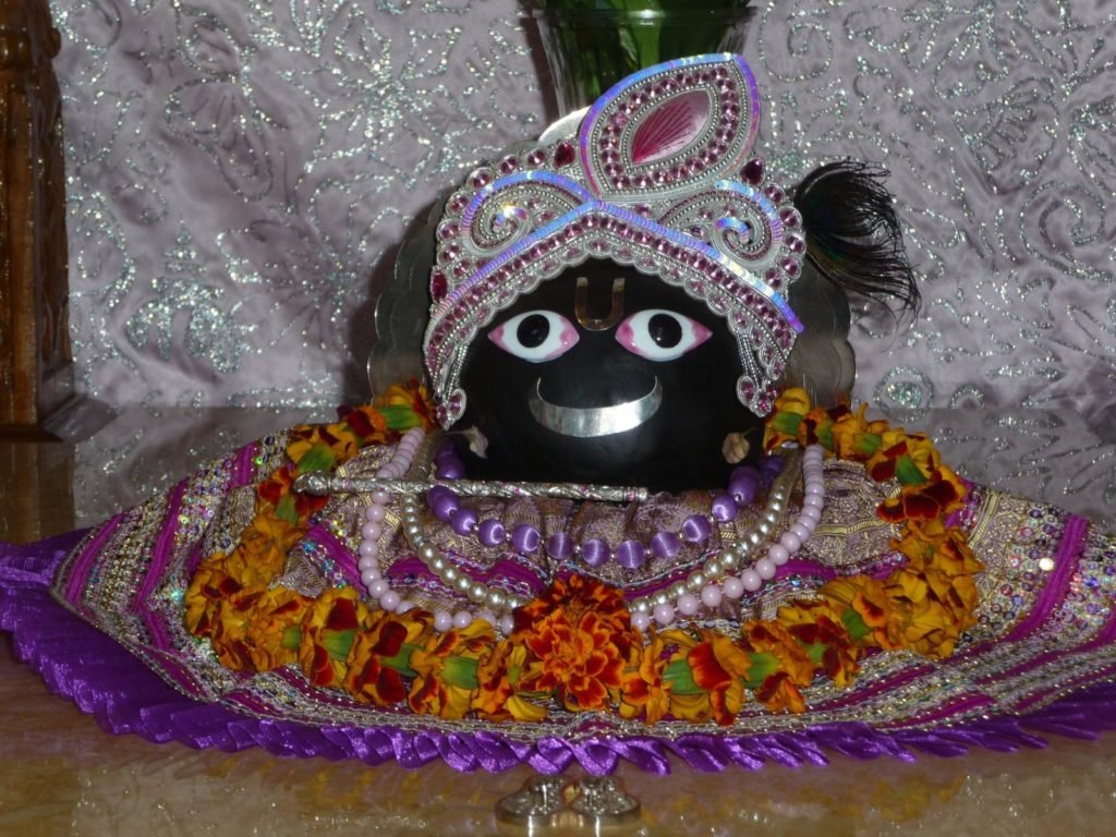 श्री शालिग्राम भगवान की पूजन विधि , शालिग्राम भगवान की स्तुति , प्रार्थना , महत्त्व | SHREE SHALIGRAM BHGWAN KI PUJAN VIDHI , MAHTTV