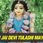 तुलसी पूजा के नियम